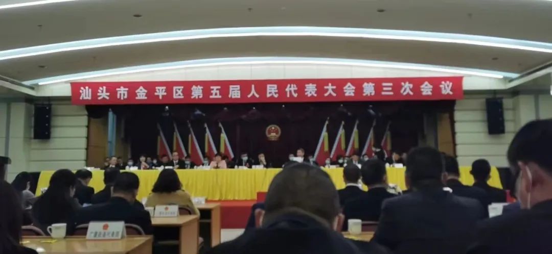 【聚焦两会】金平区新阶联人大代表政协委员参加区五届人大政协三次会议